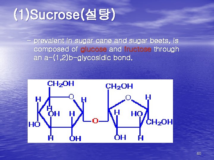 (1)Sucrose(설탕) – prevalent in sugar cane and sugar beets, is composed of glucose and