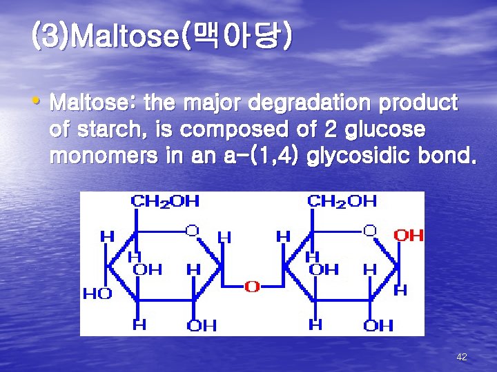 (3)Maltose(맥아당) • Maltose: the major degradation product of starch, is composed of 2 glucose