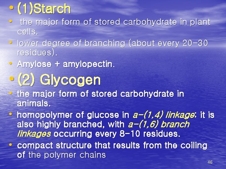  • (1)Starch • the major form of stored carbohydrate in plant • •