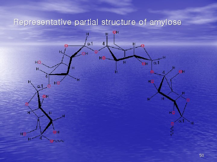 Representative partial structure of amylose 50 