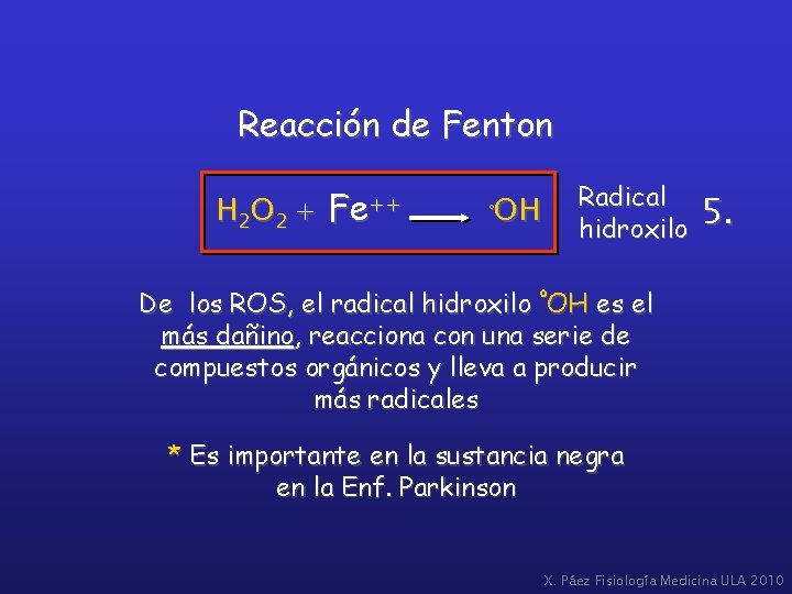 Reacción de Fenton H 2 O 2 + Fe ++ OH º Radical hidroxilo