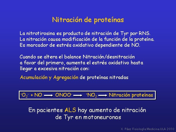 Nitración de proteínas La nitrotirosina es producto de nitración de Tyr por RNS. La