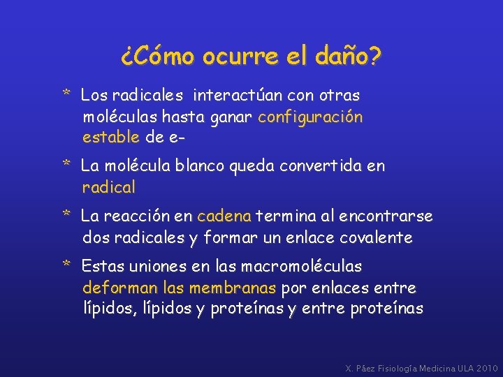 ¿Cómo ocurre el daño? * Los radicales interactúan con otras moléculas hasta ganar configuración