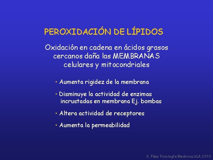 PEROXIDACIÓN DE LÍPIDOS Oxidación en cadena en ácidos grasos cercanos daña las MEMBRANAS celulares