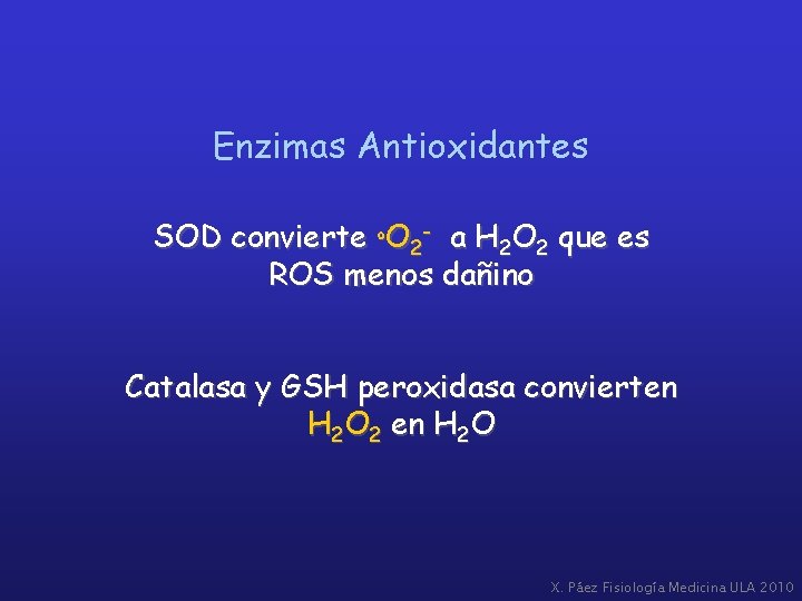 Enzimas Antioxidantes SOD convierte ºO 2 - a H 2 O 2 que es