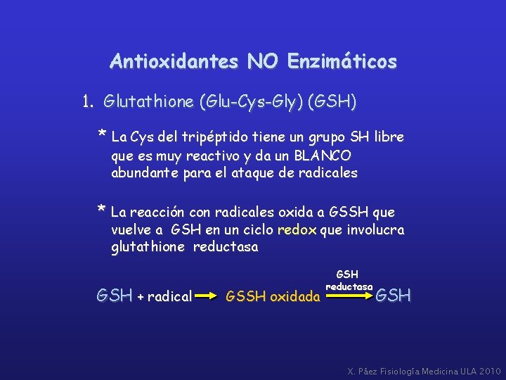 Antioxidantes NO Enzimáticos 1. Glutathione (Glu-Cys-Gly) (GSH) * La Cys del tripéptido tiene un