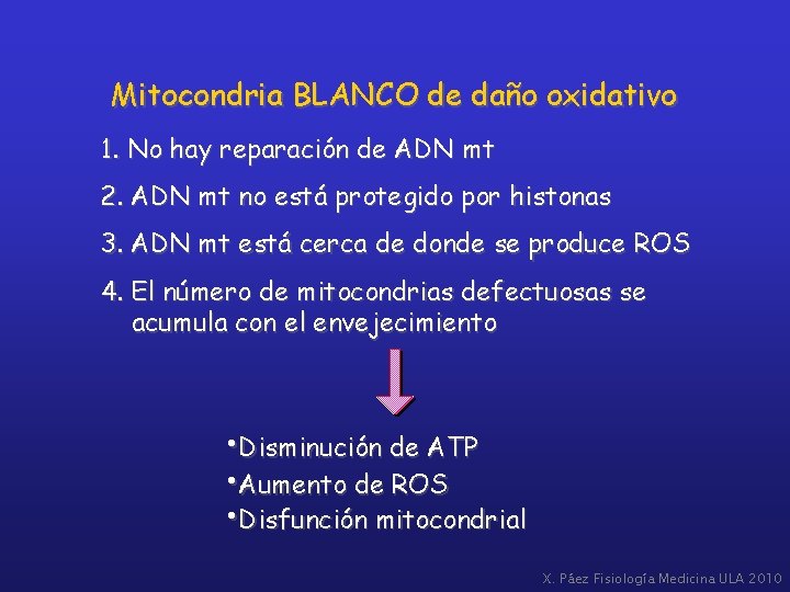 Mitocondria BLANCO de daño oxidativo 1. No hay reparación de ADN mt 2. ADN