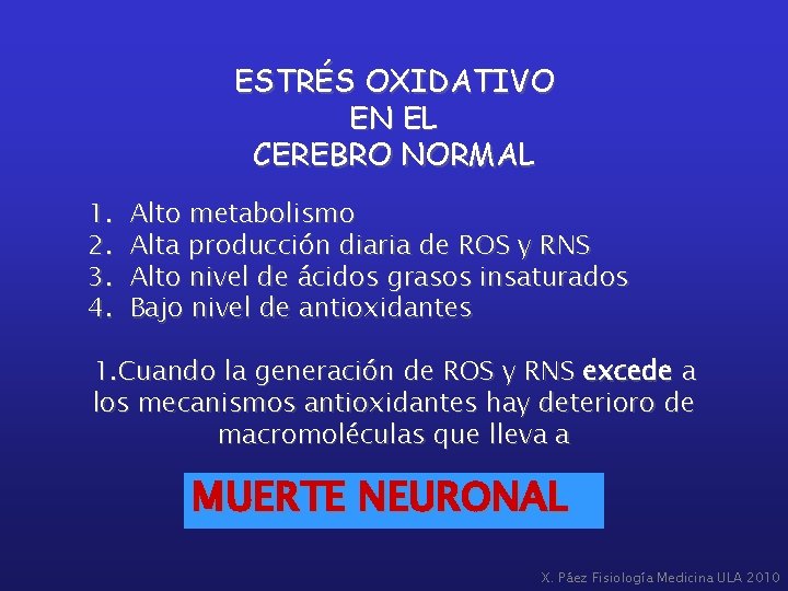 ESTRÉS OXIDATIVO EN EL CEREBRO NORMAL 1. 2. 3. 4. Alto metabolismo Alta producción