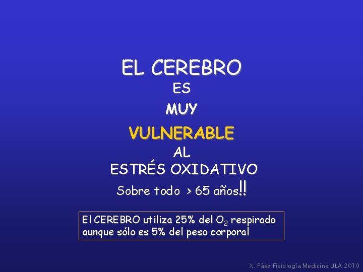 EL CEREBRO ES MUY VULNERABLE AL ESTRÉS OXIDATIVO Sobre todo > 65 años!! El