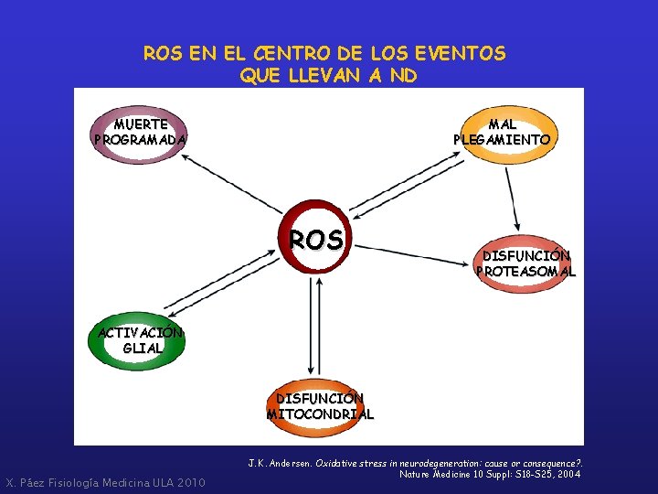 ROS EN EL CENTRO DE LOS EVENTOS QUE LLEVAN A ND MUERTE PROGRAMADA MAL