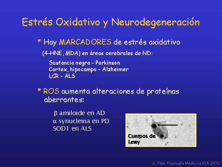 Estrés Oxidativo y Neurodegeneración * Hay MARCADORES de estrés oxidativo (4 -HNE, MDA) en