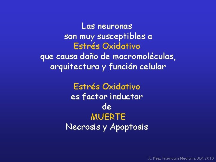 Las neuronas son muy susceptibles a Estrés Oxidativo que causa daño de macromoléculas, arquitectura