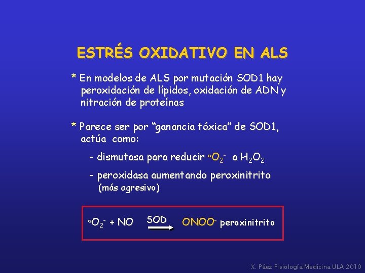 ESTRÉS OXIDATIVO EN ALS * En modelos de ALS por mutación SOD 1 hay