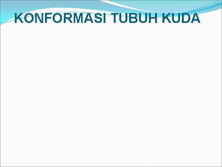 KONFORMASI TUBUH KUDA 