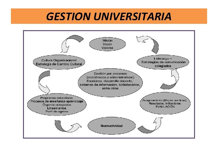 GESTION UNIVERSITARIA 