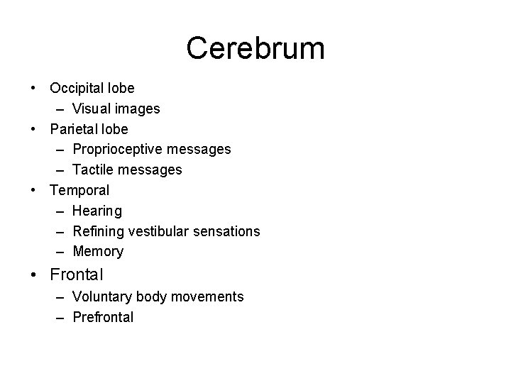 Cerebrum • Occipital lobe – Visual images • Parietal lobe – Proprioceptive messages –