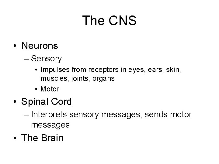 The CNS • Neurons – Sensory • Impulses from receptors in eyes, ears, skin,