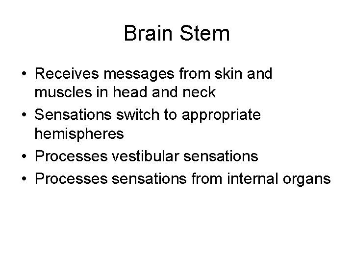 Brain Stem • Receives messages from skin and muscles in head and neck •