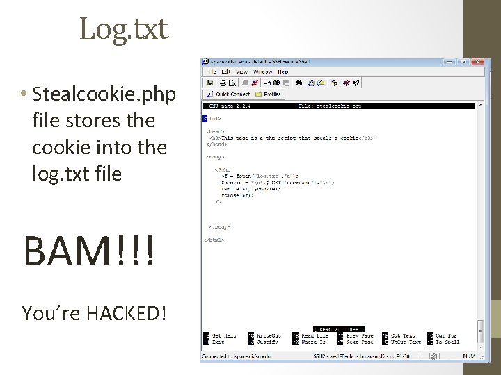 Log. txt • Stealcookie. php file stores the cookie into the log. txt file
