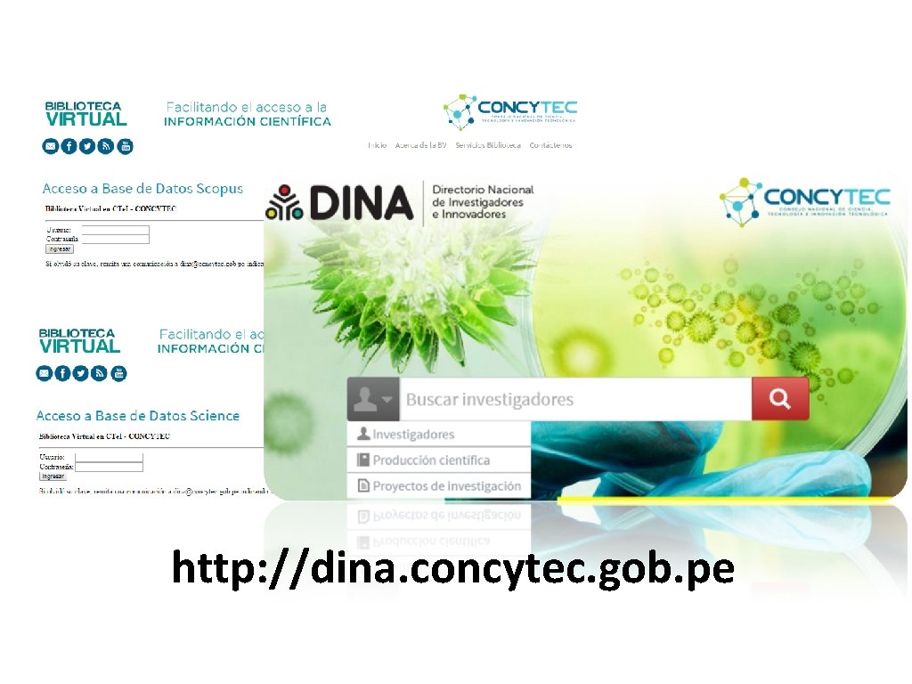 http: //dina. concytec. gob. pe 