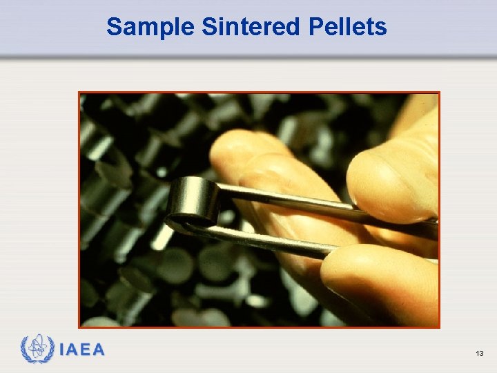 Sample Sintered Pellets IAEA 13 