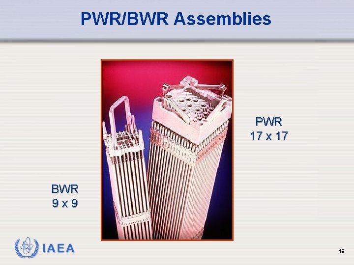 PWR/BWR Assemblies PWR 17 x 17 BWR 9 x 9 IAEA 19 