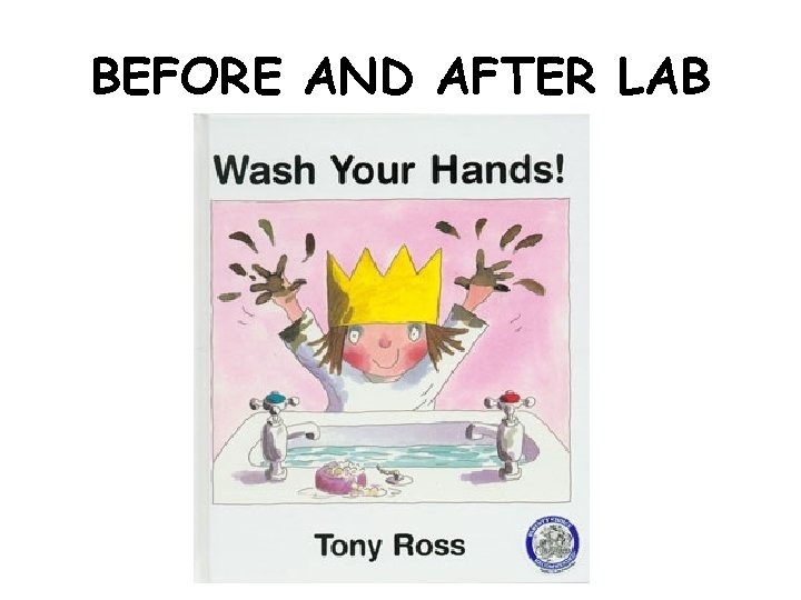 BEFORE AND AFTER LAB 