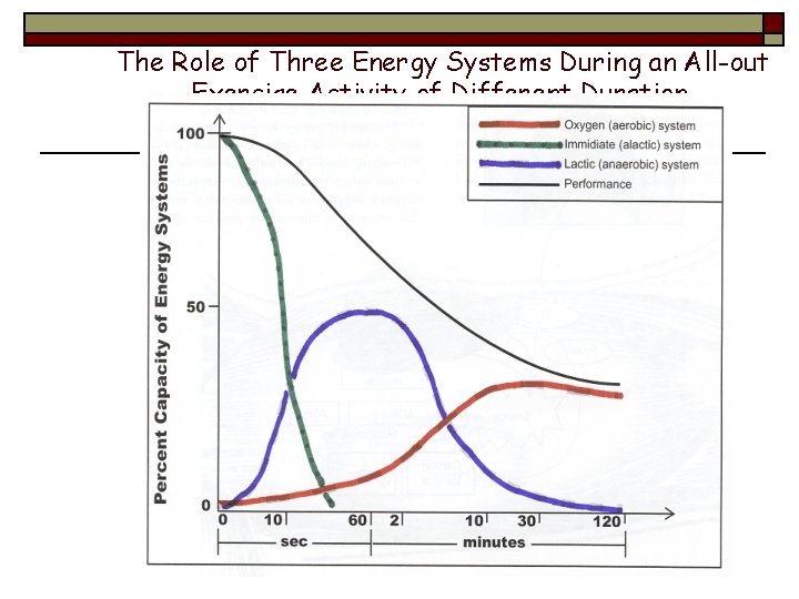 The Role of Three Energy Systems During an All-out Exercise Activity of Different Duration