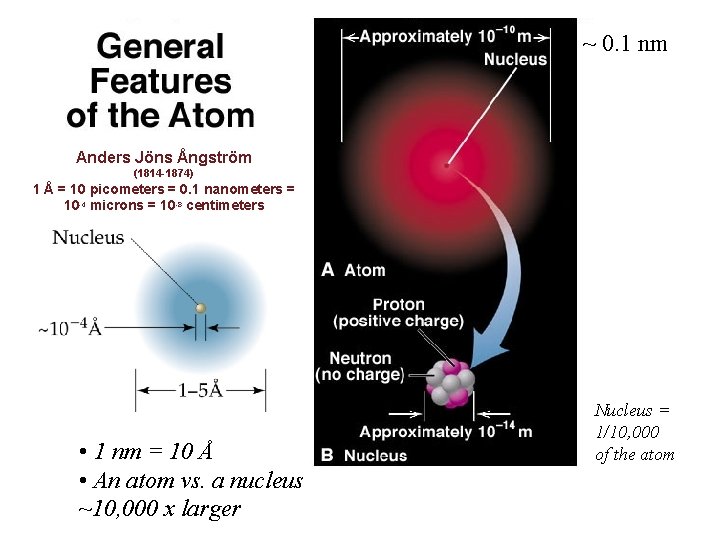~ 0. 1 nm Anders Jöns Ångström (1814 -1874) 1 Å = 10 picometers