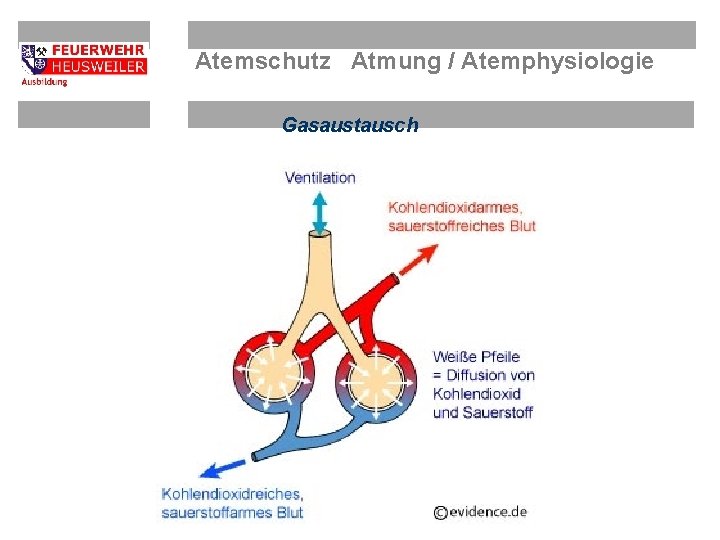 Atemschutz Atmung / Atemphysiologie Gasaustausch 