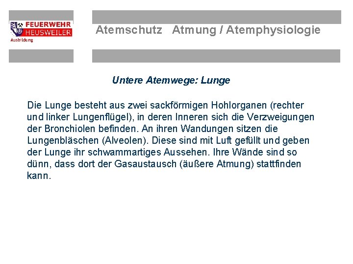 Atemschutz Atmung / Atemphysiologie Untere Atemwege: Lunge Die Lunge besteht aus zwei sackförmigen Hohlorganen