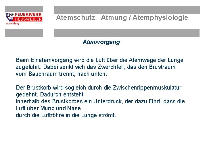 Atemschutz Atmung / Atemphysiologie Atemvorgang Beim Einatemvorgang wird die Luft über die Atemwege der