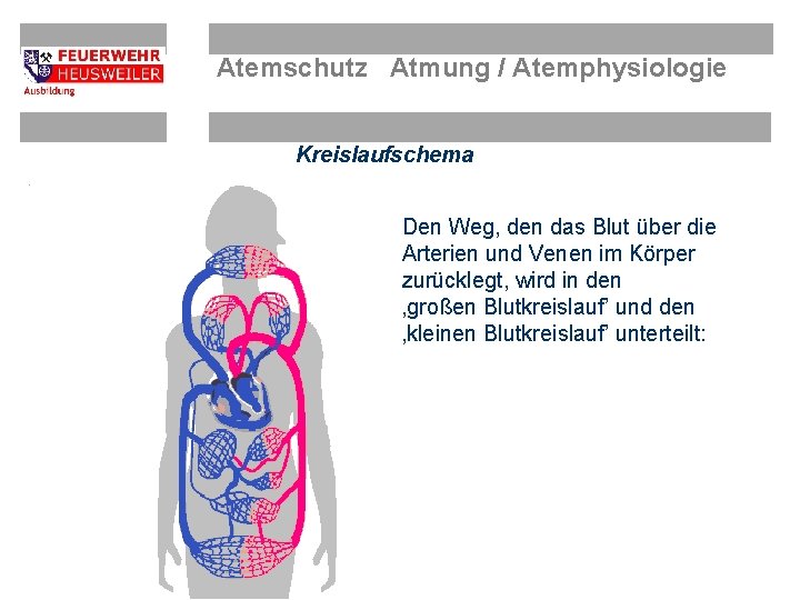 Atemschutz Atmung / Atemphysiologie Kreislaufschema Den Weg, den das Blut über die Arterien und