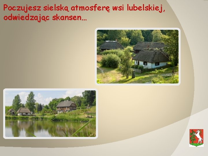 Poczujesz sielską atmosferę wsi lubelskiej, odwiedzając skansen… 