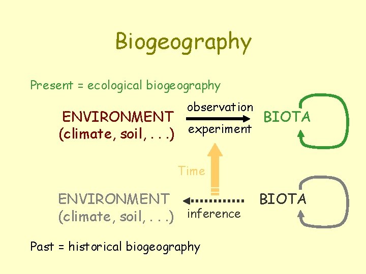 Biogeography Present = ecological biogeography observation ENVIRONMENT BIOTA (climate, soil, . . . )