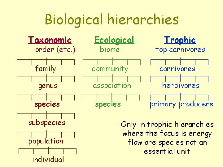 Biological hierarchies Taxonomic order (etc. ) Ecological biome family community genus association species subspecies