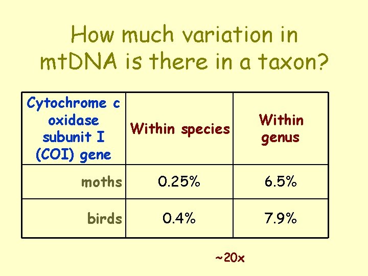 How much variation in mt. DNA is there in a taxon? Cytochrome c oxidase