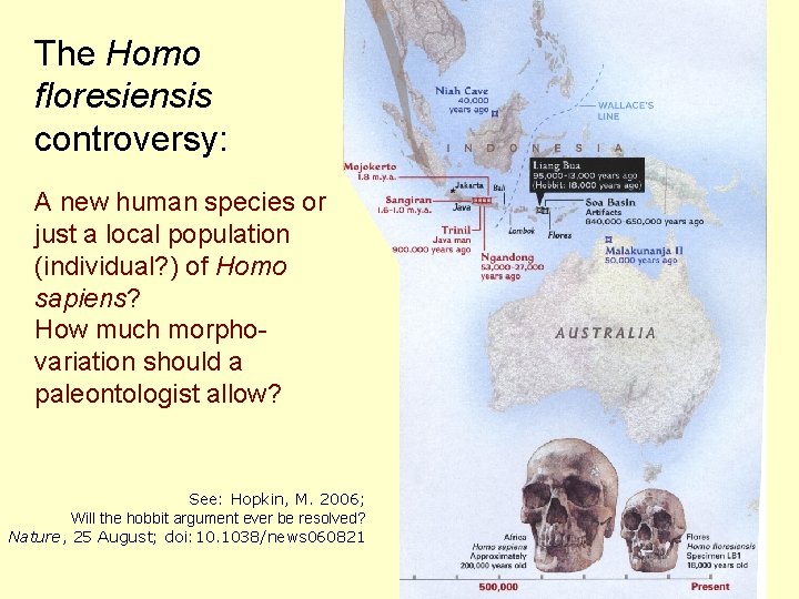 The Homo floresiensis controversy: A new human species or just a local population (individual?
