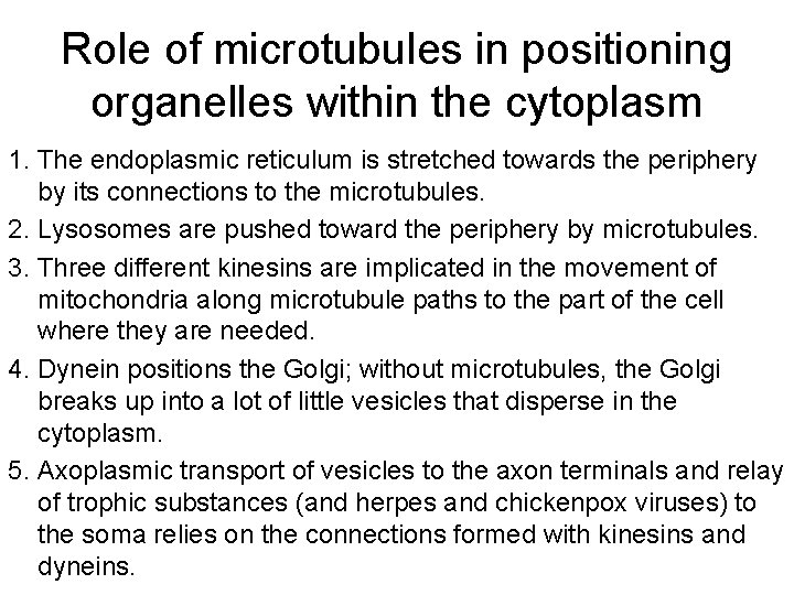 Role of microtubules in positioning organelles within the cytoplasm 1. The endoplasmic reticulum is