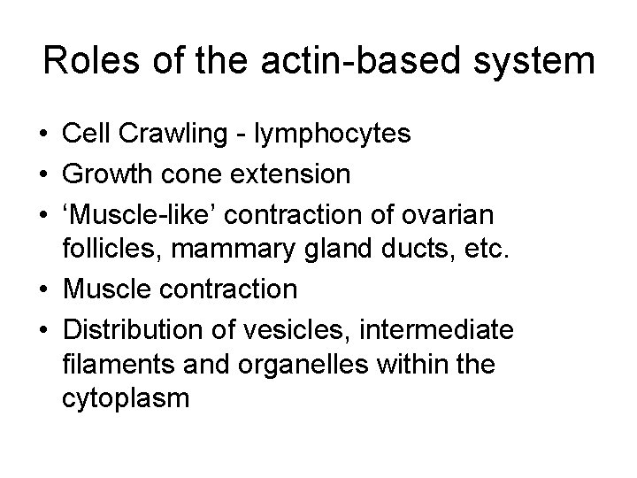 Roles of the actin-based system • Cell Crawling - lymphocytes • Growth cone extension