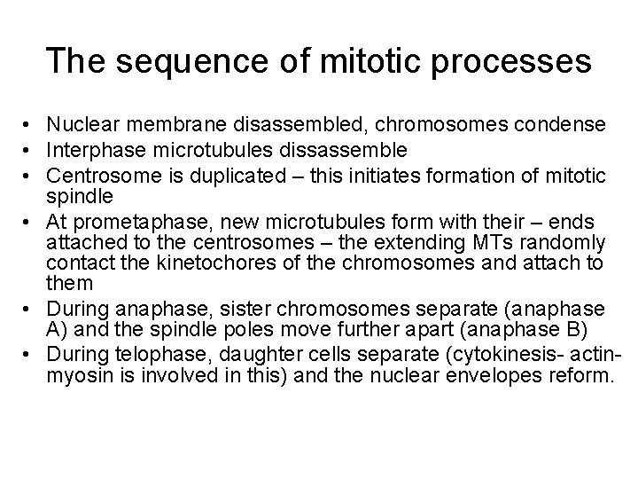 The sequence of mitotic processes • Nuclear membrane disassembled, chromosomes condense • Interphase microtubules