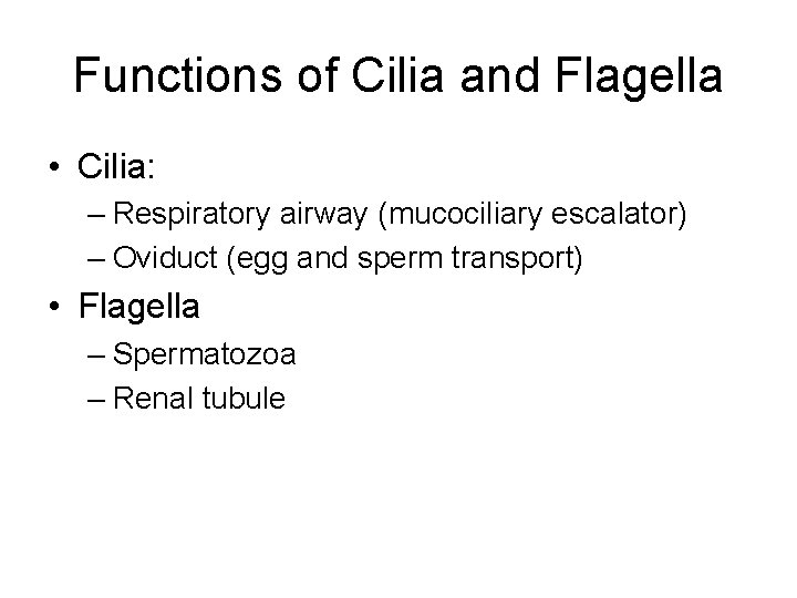 Functions of Cilia and Flagella • Cilia: – Respiratory airway (mucociliary escalator) – Oviduct