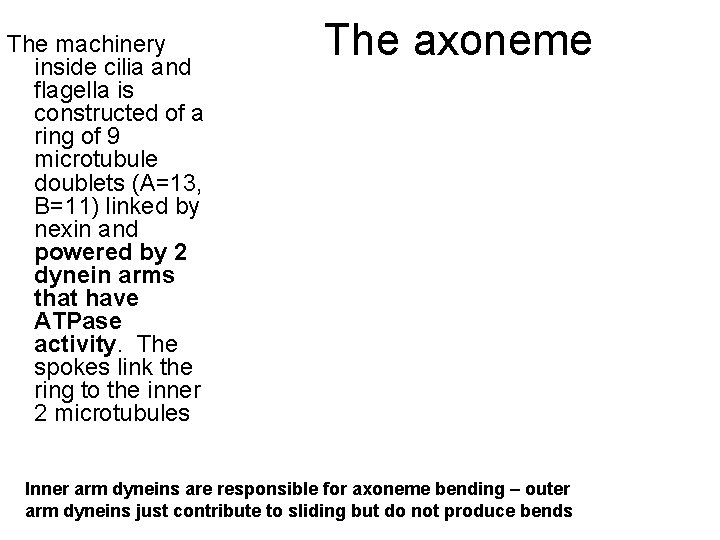 The machinery inside cilia and flagella is constructed of a ring of 9 microtubule