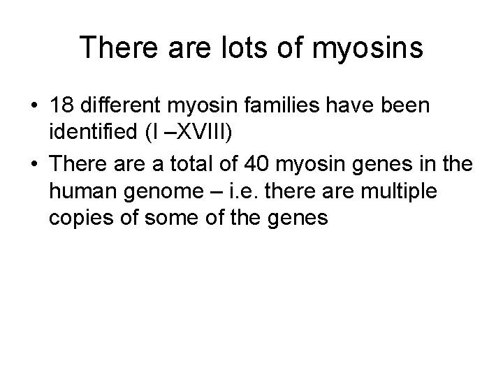 There are lots of myosins • 18 different myosin families have been identified (I