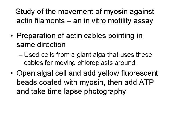 Study of the movement of myosin against actin filaments – an in vitro motility