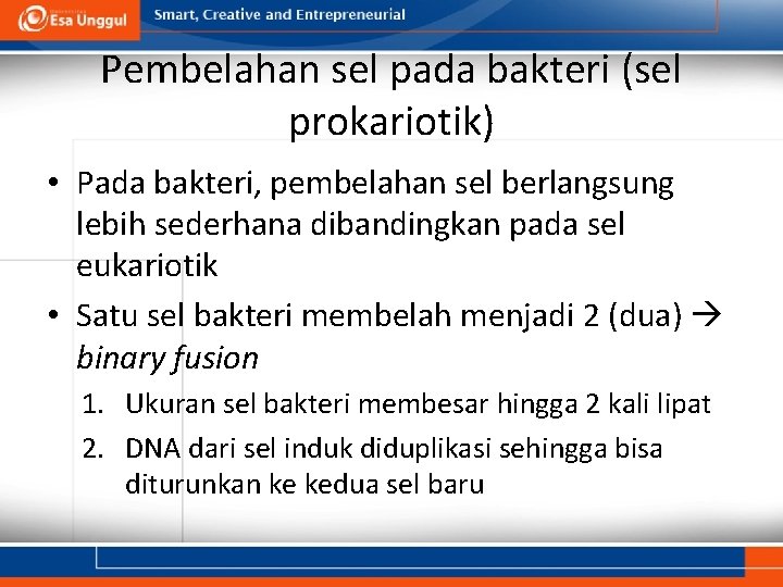 Pembelahan sel pada bakteri (sel prokariotik) • Pada bakteri, pembelahan sel berlangsung lebih sederhana