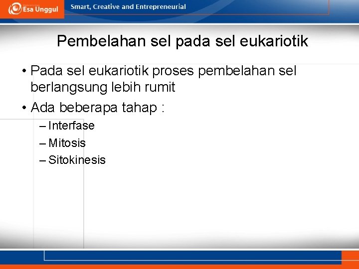 Pembelahan sel pada sel eukariotik • Pada sel eukariotik proses pembelahan sel berlangsung lebih