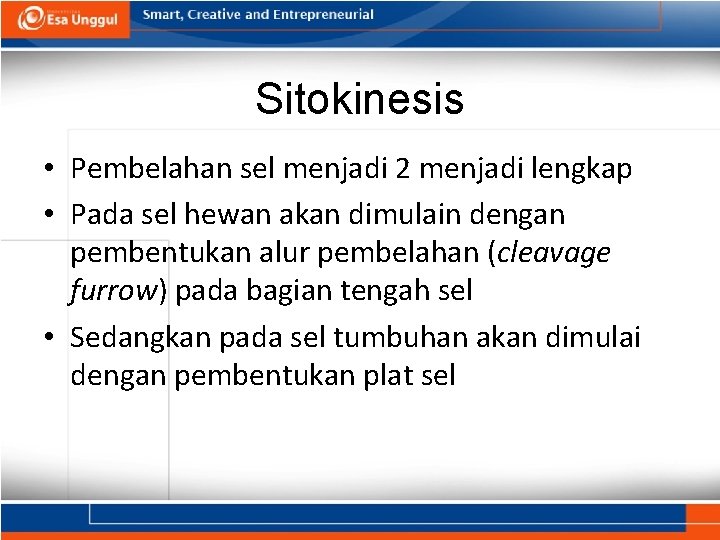 Sitokinesis • Pembelahan sel menjadi 2 menjadi lengkap • Pada sel hewan akan dimulain