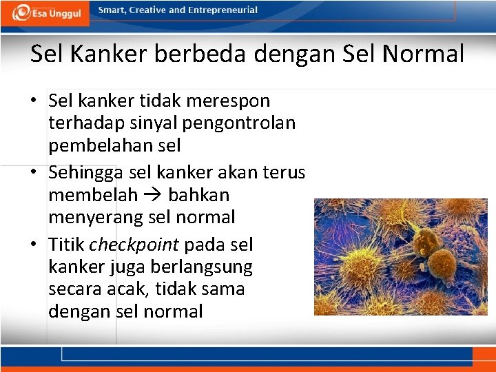 Sel Kanker berbeda dengan Sel Normal • Sel kanker tidak merespon terhadap sinyal pengontrolan