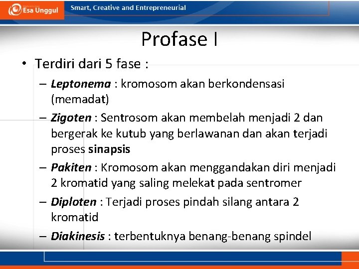 Profase I • Terdiri dari 5 fase : – Leptonema : kromosom akan berkondensasi